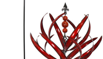 Feuer Tulpe Rot